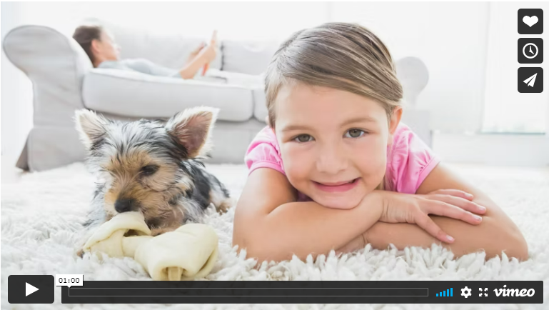 Chem-Dry's Upholstery Cleaning Process Explained